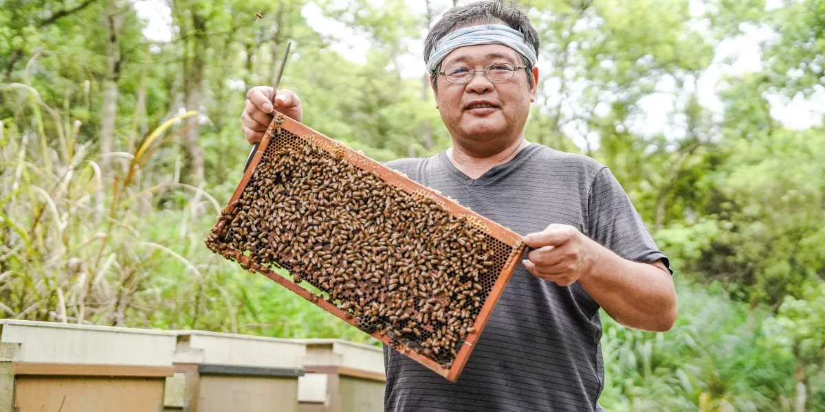鼎勝養蜂場