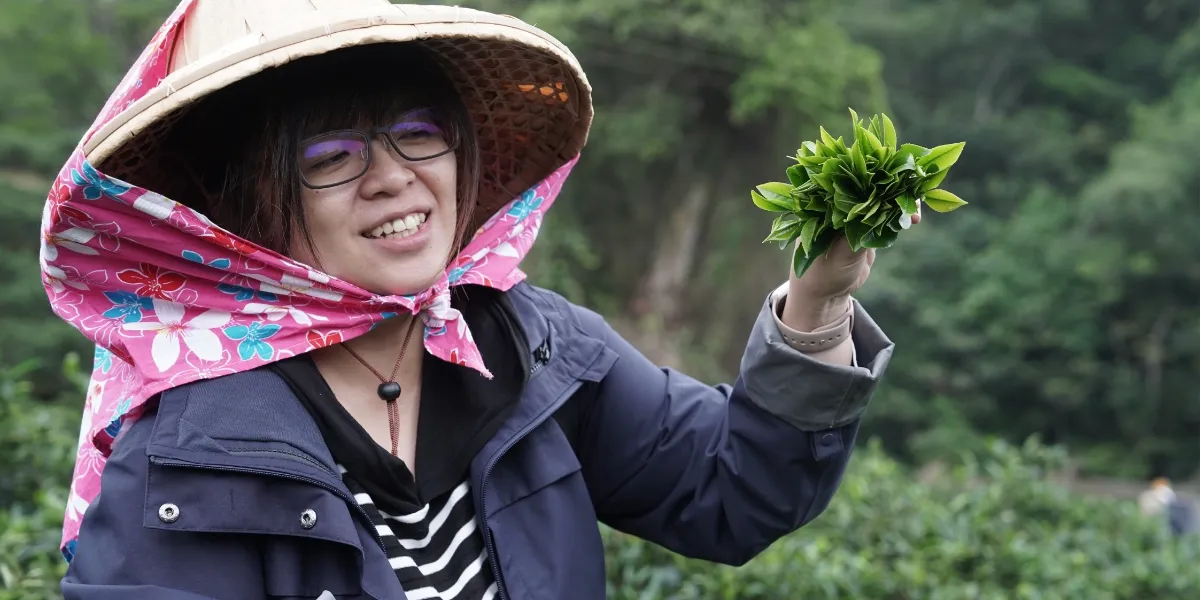 三峽祥興茶行
