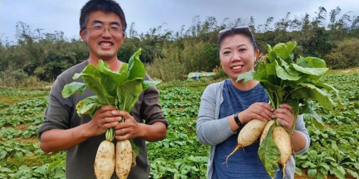 蕃婆林休閒農場