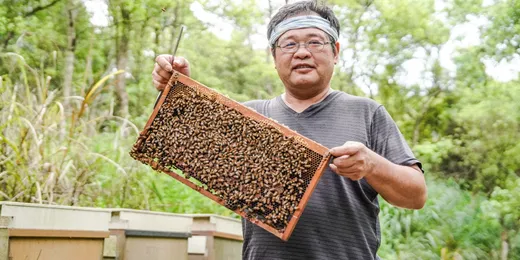 鼎勝養蜂場