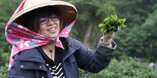三峽祥興茶行